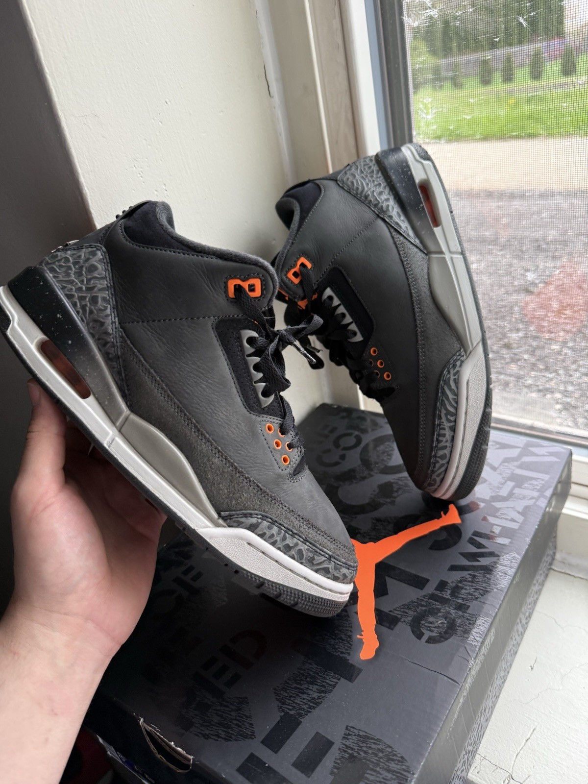 Jordan 3 Fear Jordan 3 Fear