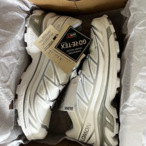 Salomon XT-6 GTX (White/Silver)