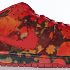 size 9 the wizard of oz x nike dunk sb low poppy field