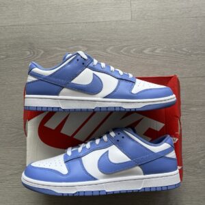 size 11.5 nike dunk low polar blue brand new