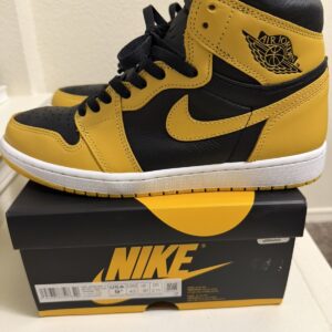 size 9.5 jordan 1 retro og high pollen