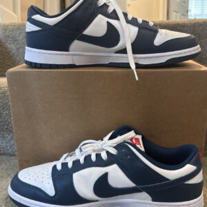 nike dunk low valerian blue, men's size 13 pre owned dd1391 400