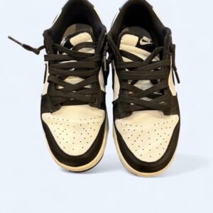 nike dunk low men's low top colorblock sneaker dd1391 100 2021