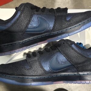 💥nike sb dunk low pro qs bt “bluetile” iq1323 001 size 11, new, in hand