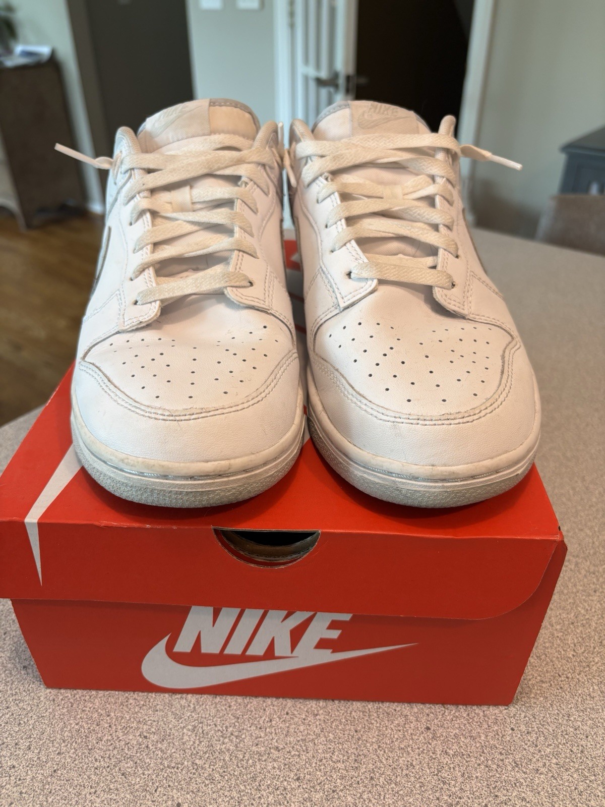 nike dunk low retro pure platinum white/gray men’s low top sneakers dv0831 101 nike dunk low retro pure platinum white/gray men’s low top sneakers dv0831 101