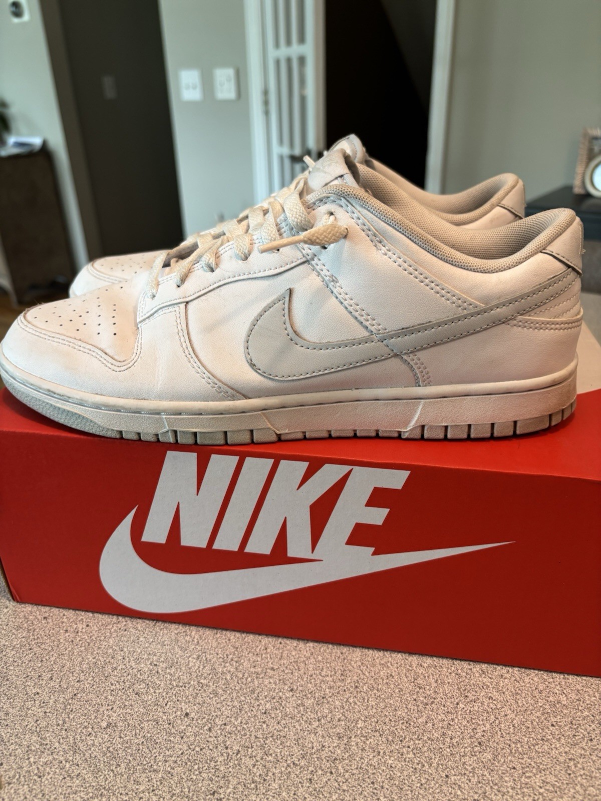 nike dunk low retro pure platinum white/gray men’s low top sneakers dv0831 101 nike dunk low retro pure platinum white/gray men’s low top sneakers dv0831 101