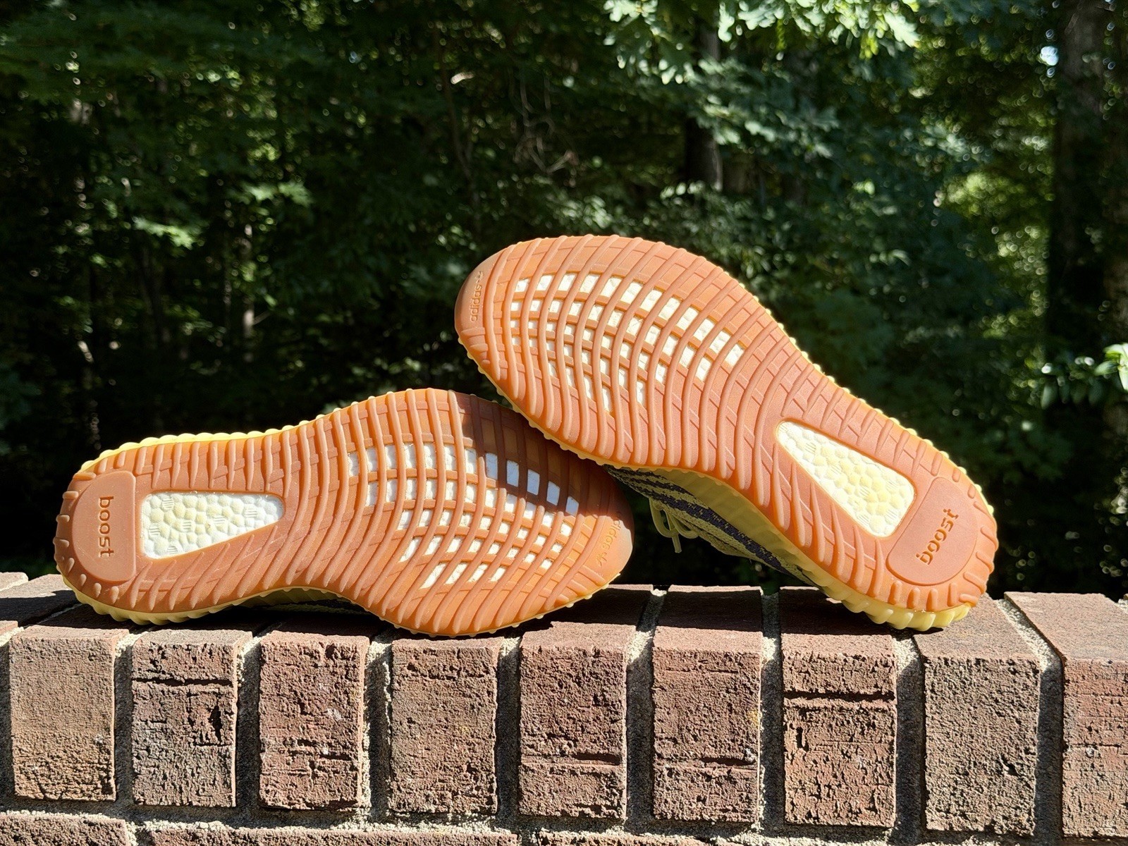 size 11.5 adidas yeezy boost 350 v2 low semi frozen yellow size 11.5 adidas yeezy boost 350 v2 low semi frozen yellow