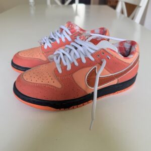 nike sb orange lobster dunks youth size 7 shoes sneakers