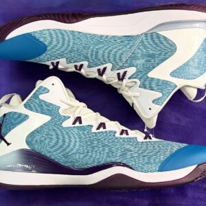 nike air jordan super fly 3 pe promo sample size 16 teal purple white unreleased