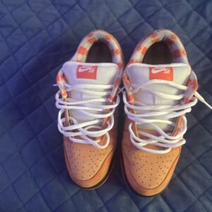 size 10 nike dunk low sb x concepts orange lobster