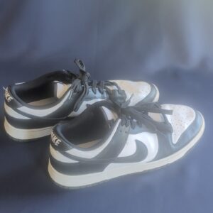 nike dunk low men’s low top lace up sneakers black/white dd1391 100 2021