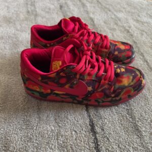 size 10.5 the wizard of oz x nike dunk sb low poppy field clean