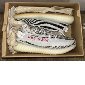 adidas yeezy boost 350 v2