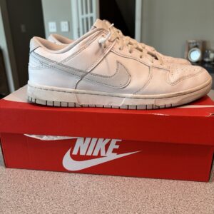 nike dunk low retro pure platinum white/gray men’s low top sneakers dv0831 101