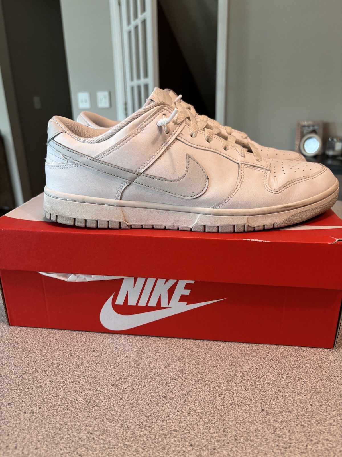 nike dunk low retro pure platinum white/gray men’s low top sneakers dv0831 101 nike dunk low retro pure platinum white/gray men’s low top sneakers dv0831 101